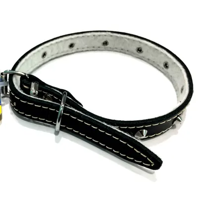 Zgardă pentru animale de companie: piele naturală, 12 mm x 330 mm, neagră cu ținte metalice