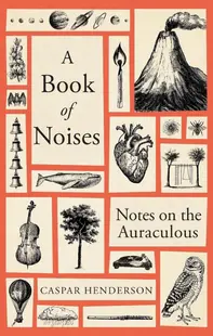 A Book of Noises: Notes on the Auraculous