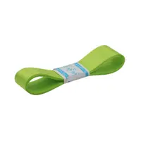 Panglică lucioasă textilă VERDE DESCHIS 25mmx3m