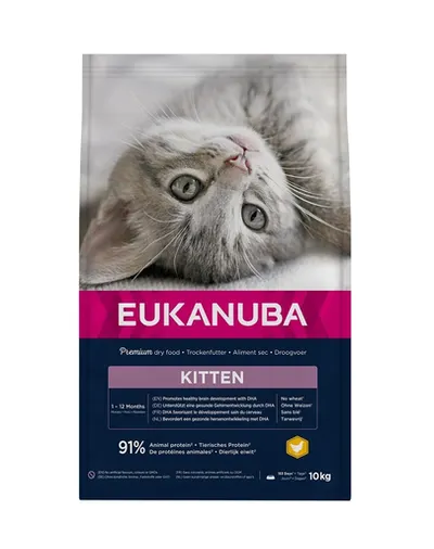 EUKANUBA Cat Kitten All Breeds Healthy Start Chicken &amp; Liver Hrana uscata pentru pisici junior, cu pui si ficat 10 kg