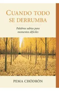 Cuando Todo Se Derrumba (When Things Fall Apart): Palabras Sabias Para Momentos Dificiles