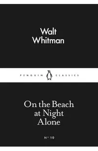 On the Beach at Night Alone