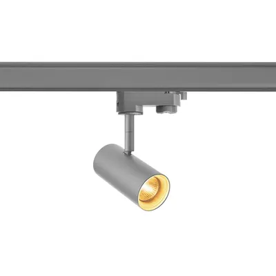 Iluminat decorativ pe sina, Traseele NOBLO la fata locului, gri argintiu-gri, 2700K, 36 °, inclusiv. adaptor 3 circuite