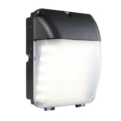 Aplica pentru iluminat decorativ exterior, Lucca IP65 30W cool white