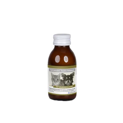 Supliment pentru caini si pisici ReConvales®GASTRO BALANCE, 90 ml