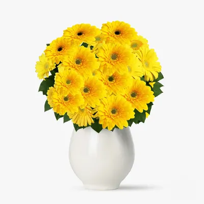 Buchet de 35 gerbera galbene