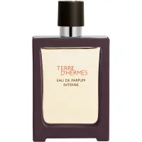 HERMÈS Terre d’Hermès Eau de Parfum Intense apă parfumată intense pentru bărbați 30 ml