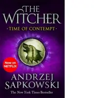 Time of Contempt : Witcher 4