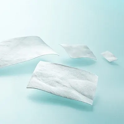 Membrana colagen Lyoplant® 1 bucată 6 x 14 cm