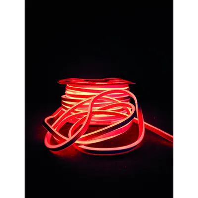 Neon Flex 92 LED Rosu IP44 50M