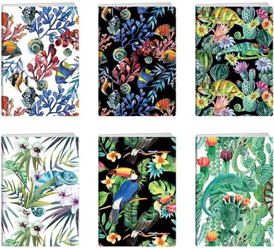 Caiet Elisa - Tropical, A5,62 coli, rânduri largi, sortiment