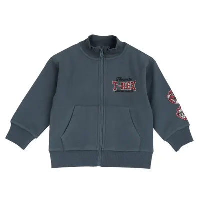 Cardigan copii Chicco tricotat, gri, 00182-69MC