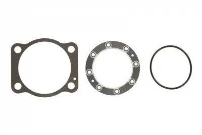 Set complet garnituri motor potrivit HANOMAG