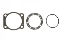 Set complet garnituri motor potrivit HANOMAG