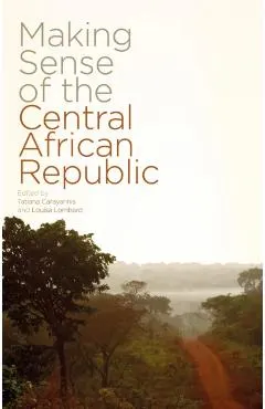 Making Sense of the Central African Republic