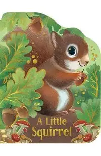 A Little Squirrel