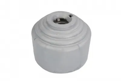 Suport motor fata dreapta hidraulic potrivit MERCEDES C (CL203), C T-MODEL (S203), C (W203), CLC (CL203), CLK (A209), CLK (C208), CLK (C209), CLS (C219), E T-MODEL (S211), E (W210) 1.8-5.5 05.96-01.12