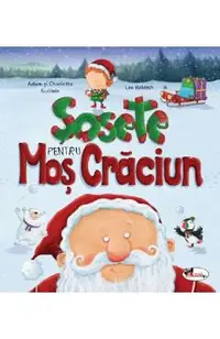 Sosete pentru Mos Craciun