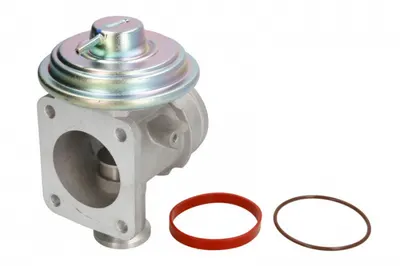 Supapa Egr Potrivit Bmw 3 (e46), 5 (e39), 7 (e65, E66, E67), X5 (e53); Land Rover Freelander I, Range Rover Iii 2.0d-4.4 02.98-08.12