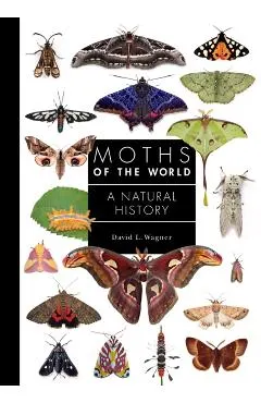 Moths of the World: A Natural History