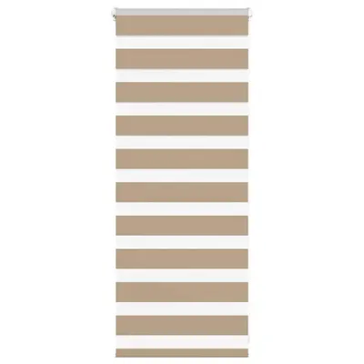 vidaXL Jaluzea tip zebra 60x100 cm lățime țesătură 55,9 cm poliester