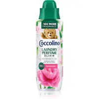 Coccolino First Bloom parfum pentru dulap