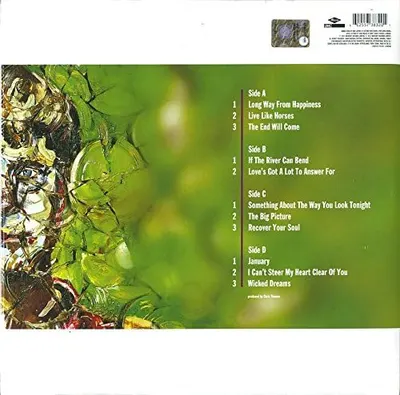 The Big Picture - Vinyl