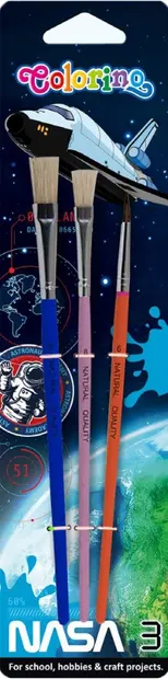 Set pensule pentru pictură Colorino - Nasa, 3 bucăți