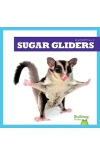 Sugar Gliders