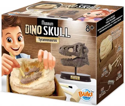 Trusa de cercetare Muzeul Buki - Craniu, T-Rex