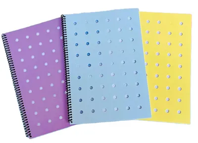 Caiet cu spirală Keskin Color Fun - A4, 80 foi, sortiment