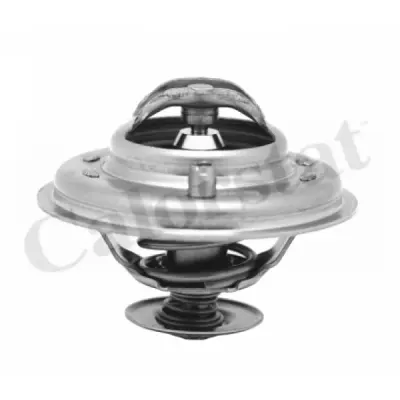 Termostat, lichid racire CALORSTAT by Vernet TH5973.80J