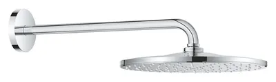 Palarie de dus 310 Mono 9,5 l/min, 1 jet, brat de dus 422 mm, Crom