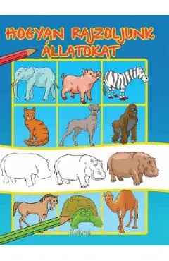 Hogyan rajzoljunk allatokat. Cum sa desenam animale