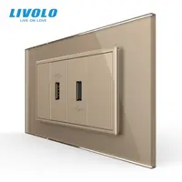 Priza dubla USB, 4M, cu rama sticla Auriu