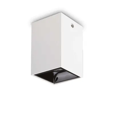 Lampa cu montaj pe tavan Nitro pl square d10 Alb