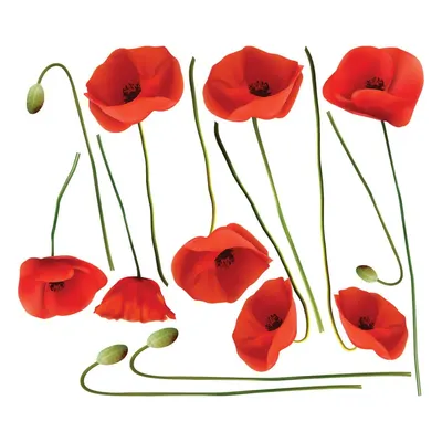 Set autocolante pentru perete Ambiance Vermeil Poppies, 60 x 70 cm
