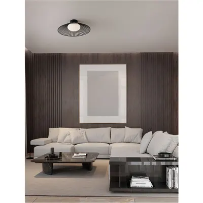 Plafoniera BRUME Mat Negru Metal & Opal Sticla LED 15 Wat 220-240Volt 686Lm 3000K IP20