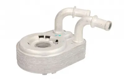 Termoflot Radiator Ulei (95x42x125) Alfa Romeo 147, 156; Fiat Bravo Ii, Doblo, Doblo Cargo, Marea, Multipla, Stilo; Lancia Lybra, Lybra Sw 1.9d Dupa 2000
