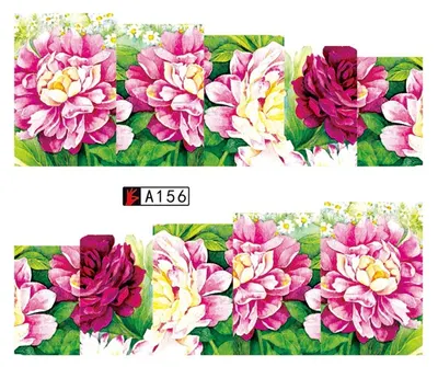 Tatuaj - A156