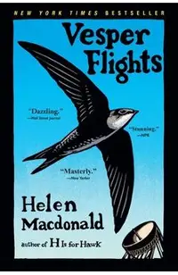 Vesper Flights