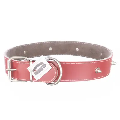 Zgarda din piele, rosie, cu colti metalici, 4 cm x 75 cm, pentru caini de talie mare