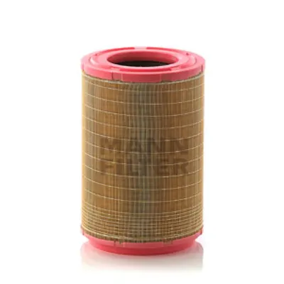 Filtru aer MANN-FILTER C 31 1254