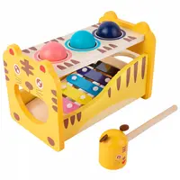 Joc Educational Multifunctional cu Xilofon