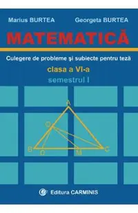 Matematica. Culegere de probleme si subiecte pentru teza - Clasa 6 - Semestrul 1