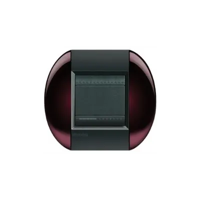 Placa ornament ,2 module, maro, living light, BTICINO