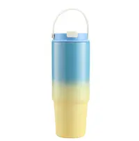 Termos Multicolor, Otel Inoxidabil, cu Pai si Maner, Model 5, 900 ml,MIX14836