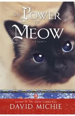 Power of Meow