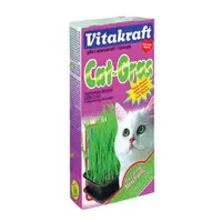 Iarba pisicii Vitakraft 120gr