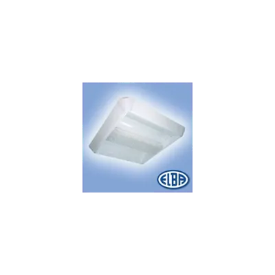 Corpuri de iluminat Fluorescente pentru Montaj Aparent - 2 x 55 W, FIRA 03 ODEON, ELBAtttttt